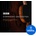 Spitfire Audio BBC Symphony Orchestra Professional (Дигитален продукт)