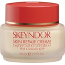 Skeyndor Antioxidante Q-10 Skin Repair Cream antioxidační krém s vitamíny 50 ml