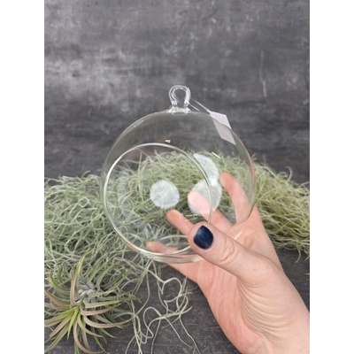 Aerárium skleněné průměr 14 cm