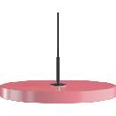 UMAGE Asteria 2422C4173