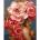 Ideyka Painting by numbers - Blooming grace 40x50cm