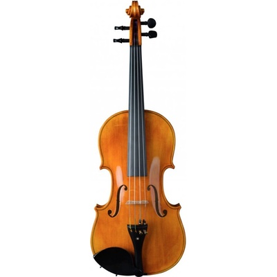 Violin Schönbach Golden
