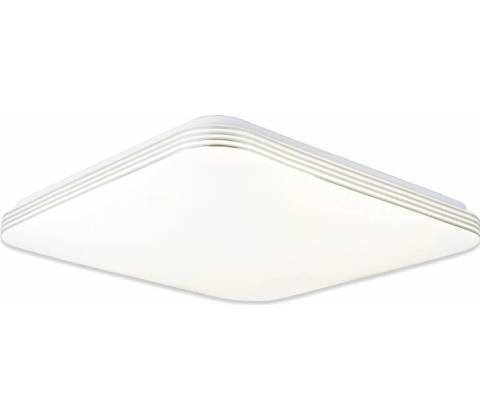Top Light 1771