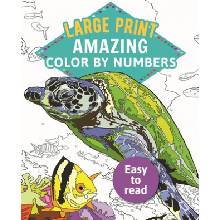 Amazing Color by Numbers Large Print Arcturus PublishingPaperback