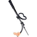 LOVEBOTZ Pleasure Pole Lovebotz (P22915)