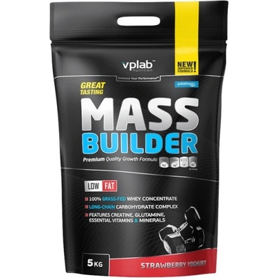 VPLab Mass Builder [5000 грама] Ягода и йогурт