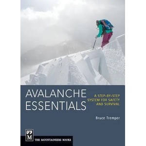 Avalanche Essentials (2013)