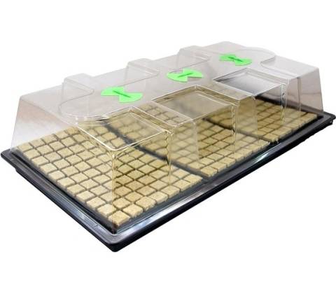X-Stream Basic L