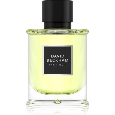 David Beckham Instinct parfémovaná voda pánská 75 ml