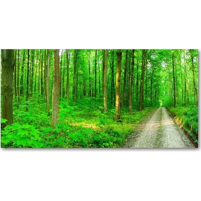 Foto obraz sklenený horizontálny Stromy v lese 100x50 cm