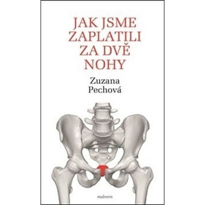 Jak jsme zaplatili za dvě nohy
