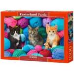 Castorland Puzzle 1000 Cats in veil sticks CASTOR