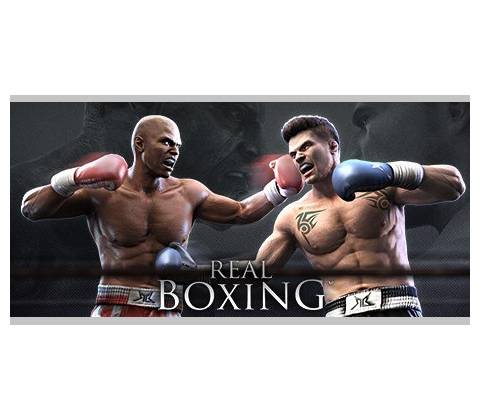 Real Boxing