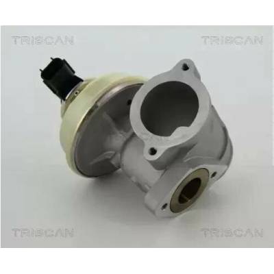 TRISCAN AGR ventil TRI 8813 16102