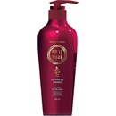Daeng Gi Meo Ri Shampoo For Oily Scalp 500 ml