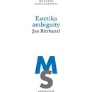 Estetika ambiguity