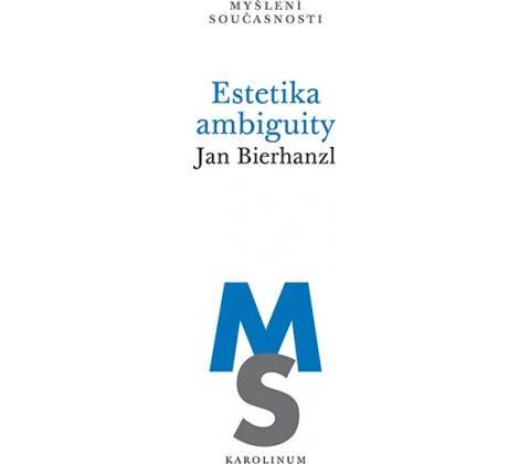 Estetika ambiguity