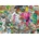 Heye - Puzzle eBoy: Pixorama: Tokyo Quest - 1 000 piese