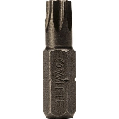 Witte 1/4" Torx T25, 25 mm 2 ks