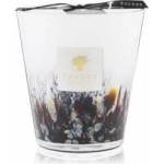 Baobab Collection Rainforest Tanjung 16 cm