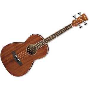 Ibanez PNB14E-OPN
