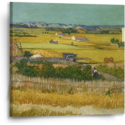 Sablio Obraz Úroda - Vincent van Gogh - 50x50 cm