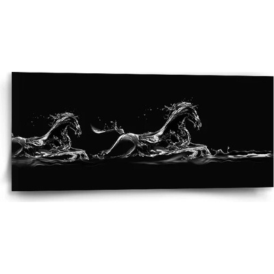 Sablio Obraz Vodný kôň - 110x50 cm