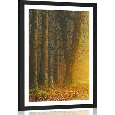 Plakát s paspartou cesta v lese - 30x45 black