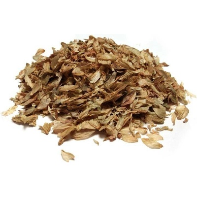 Bylík Chmel šištice 10 g