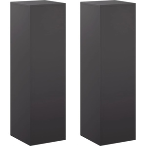 vidaXL Стойка за растения 2 pcs Черно 30 x 30 x 100 см Стомана (8012503)