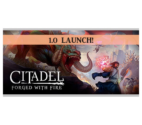 Citadel: Forged With Fire
