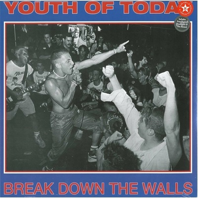 YOUTH OF TODAY: BREAK DOWN THE WALLS LP