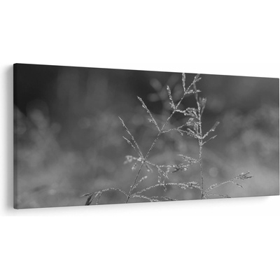 Obraz - Vidiecka lúka, jednodielne 200x100 cm