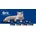 Brit Premium Kitten 800 g