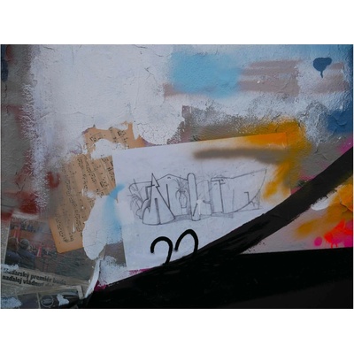 Henriet Zubár | Bratislava Rám: Bílý, Velikost: 20 x 30 cm – Hledejceny.cz