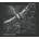Execration - Return To The Void LP
