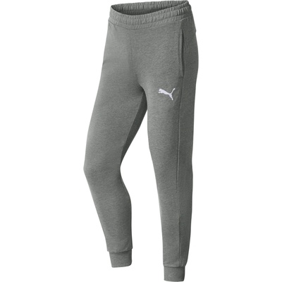 Puma TeamGoal 23 Casuals sivé
