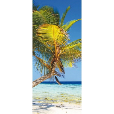 Preinterier DV0023 Fototapeta na stenu Palma vlies 91cm x 211cm