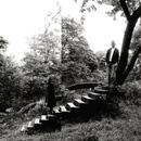 Timber Timbre - Timber Timbre CD