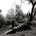 Timber Timbre - Timber Timbre CD