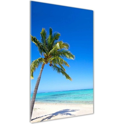 Vertikálny fotoobraz na skle Tropická pláž 50x100 cm