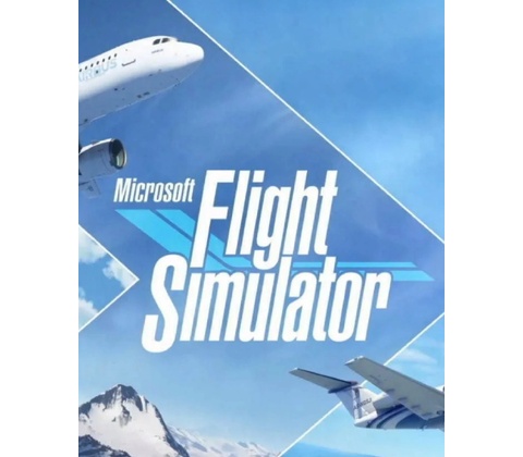 Microsoft Flight Simulator
