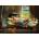 Anatolian - Puzzle Home Sweet Home - 260 piese