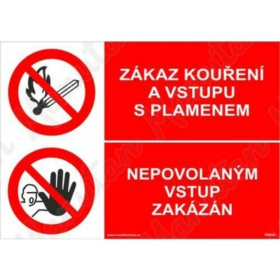 Zákaz kouření a vstupu s plamenem, plast 420 x 297 x 2 mm A3