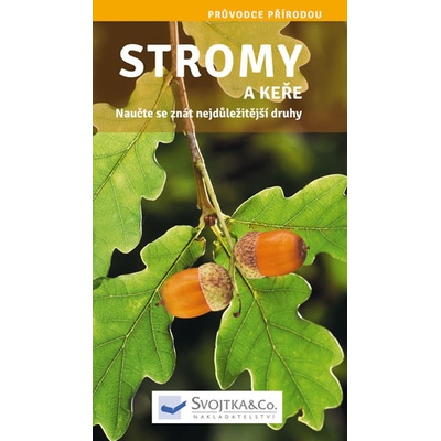 Stromy a keře