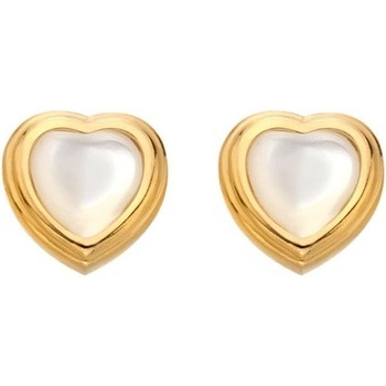 Hot Diamonds náušnice DE790