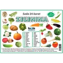 Zelenina - sada 24 karet – Kupka Petr