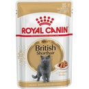 Royal Canin Cat British Shorthair 12 x 85 g