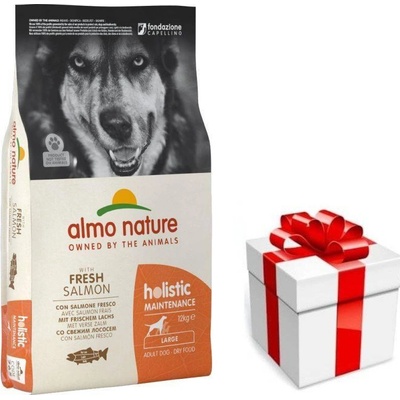 Almo Nature Holistic Adult Large Salmon & Rice 12 kg