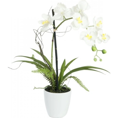 Orchidej bílá v dekoračním květináči, 62 cm